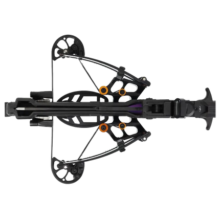 Collection image for: REV